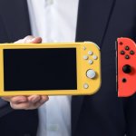 Nintendo Switch Lite Joy-Con