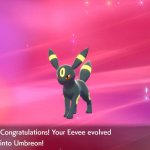 umbreon-1